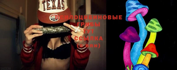 сатива Бежецк