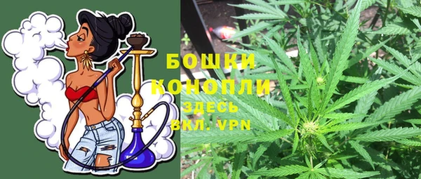 сатива Бежецк