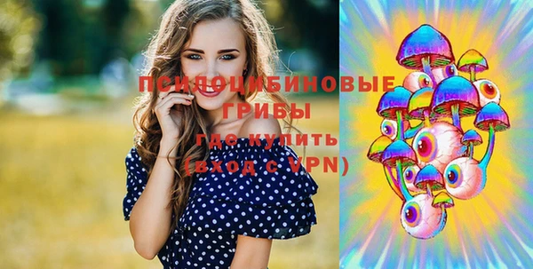 марки lsd Белая Холуница