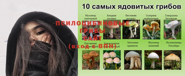 сатива Бежецк