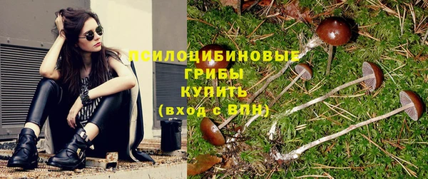 каннабис Вяземский